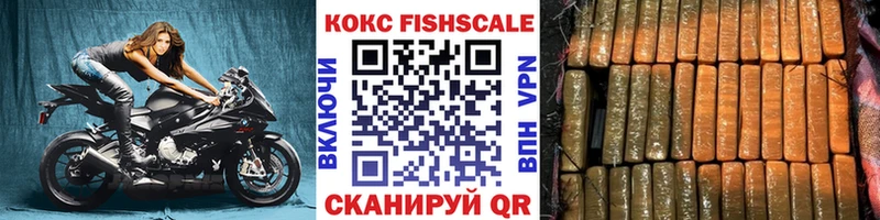Cocaine FishScale  кракен как войти  Михайловка 